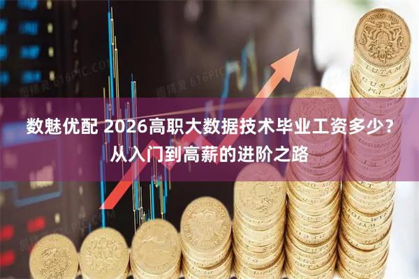 数魅优配 2026高职大数据技术毕业工资多少？从入门到高薪的进阶之路