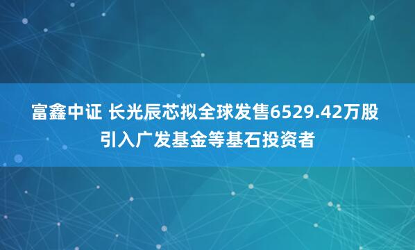 富鑫中证 长光辰芯拟全球发售6529.42万股 引入广发基金等基石投资者