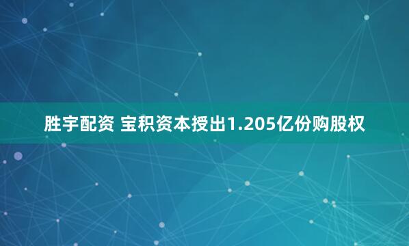 胜宇配资 宝积资本授出1.205亿份购股权