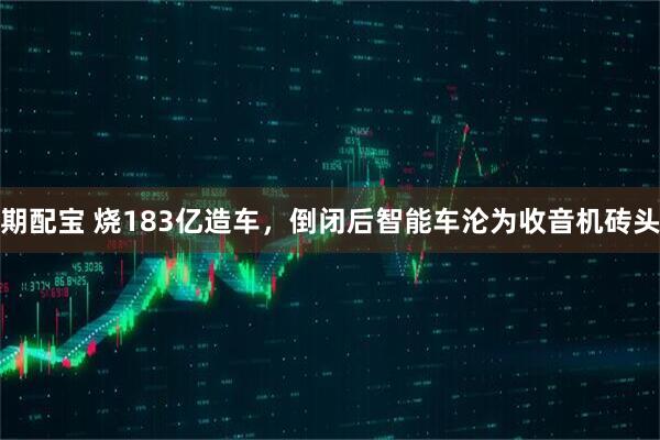 期配宝 烧183亿造车，倒闭后智能车沦为收音机砖头