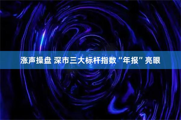 涨声操盘 深市三大标杆指数“年报”亮眼