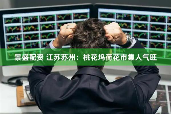 景盛配资 江苏苏州：桃花坞荷花市集人气旺