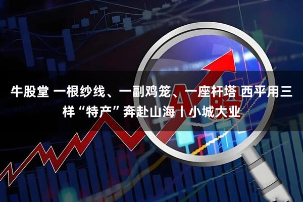 牛股堂 一根纱线、一副鸡笼、一座杆塔 西平用三样“特产”奔赴山海丨小城大业