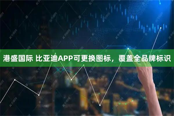 港盛国际 比亚迪APP可更换图标，覆盖全品牌标识