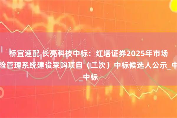 桥宜速配 长亮科技中标：红塔证券2025年市场风险管理系统建设采购项目（二次）中标候选人公示_中标