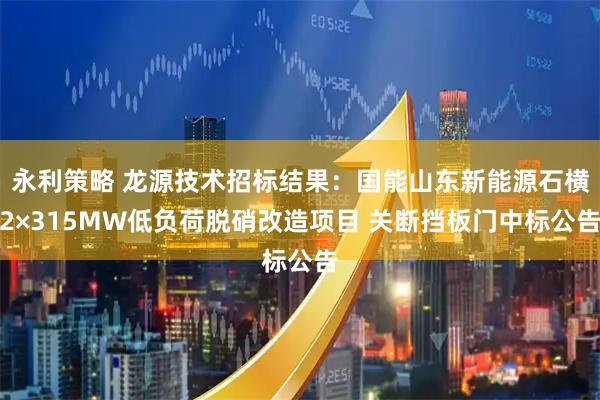 永利策略 龙源技术招标结果：国能山东新能源石横2×315MW低负荷脱硝改造项目 关断挡板门中标公告