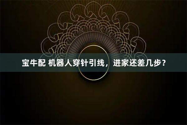 宝牛配 机器人穿针引线，进家还差几步？
