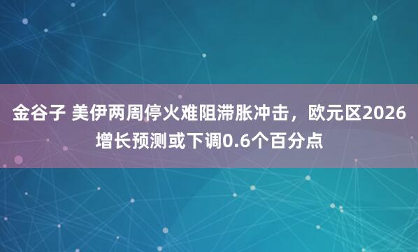 金谷子 美伊两周停火难阻滞胀冲击，欧元区2026增长预测或下调0.6个百分点