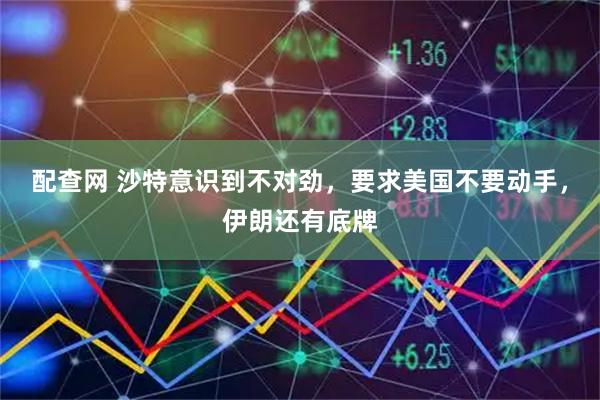 配查网 沙特意识到不对劲，要求美国不要动手，伊朗还有底牌