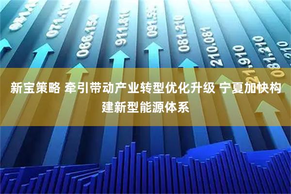 新宝策略 牵引带动产业转型优化升级 宁夏加快构建新型能源体系